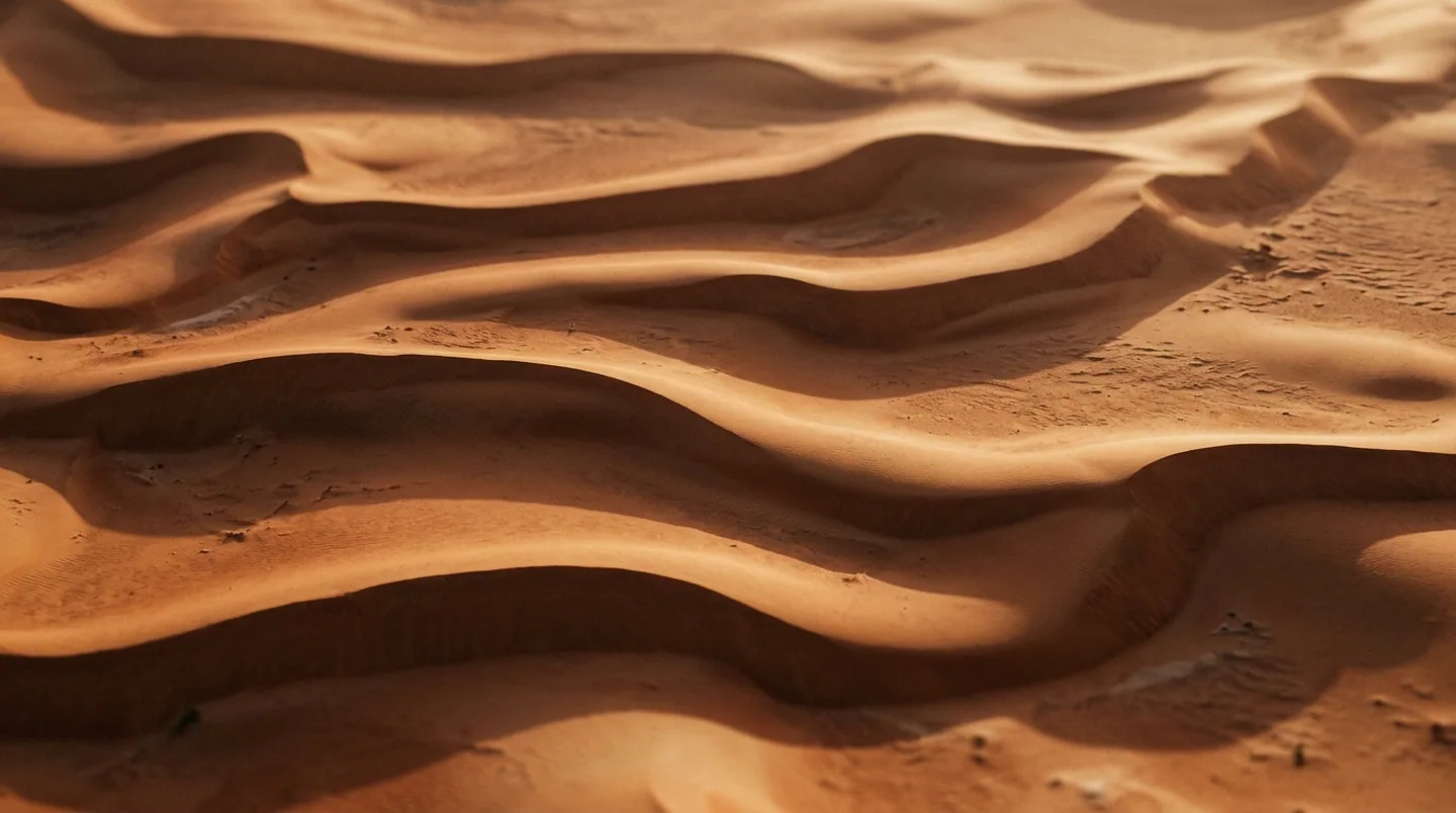 Sand ridges seen from above in low sun